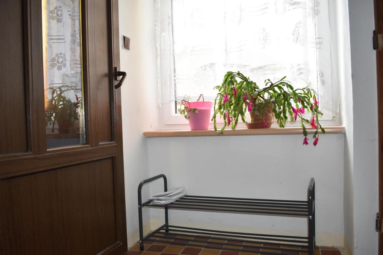 Guest House Hartenberg ソコロフ エクステリア 写真